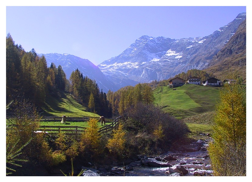 Herbst in Südtirol