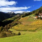 Herbst in Südtirol