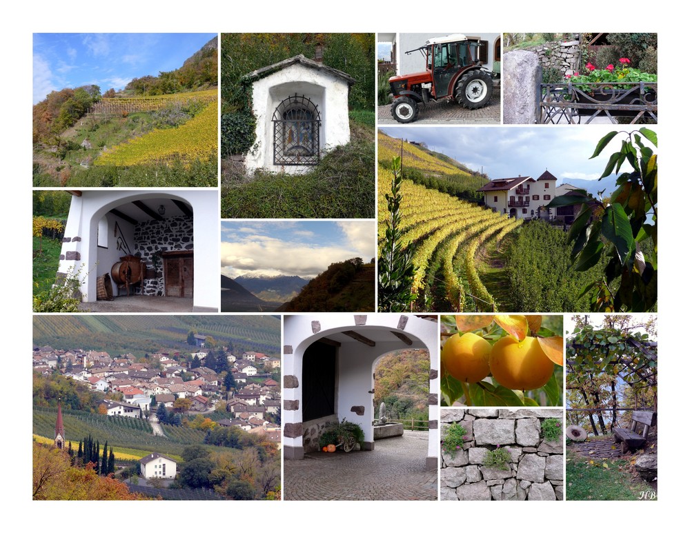 Herbst in Südtirol III