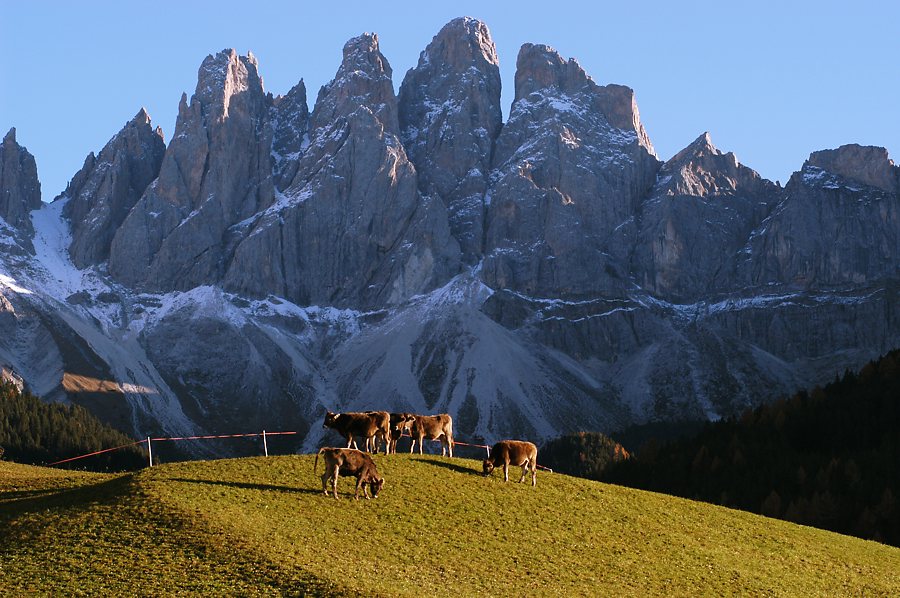 Herbst in Südtirol IV