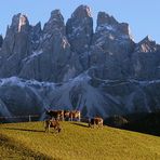 Herbst in Südtirol IV