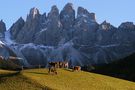 Herbst in Südtirol IV von Johannes Fein