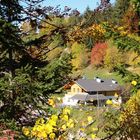 Herbst in Südtirol1