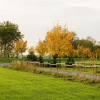 Herbst in Tätzschwitz