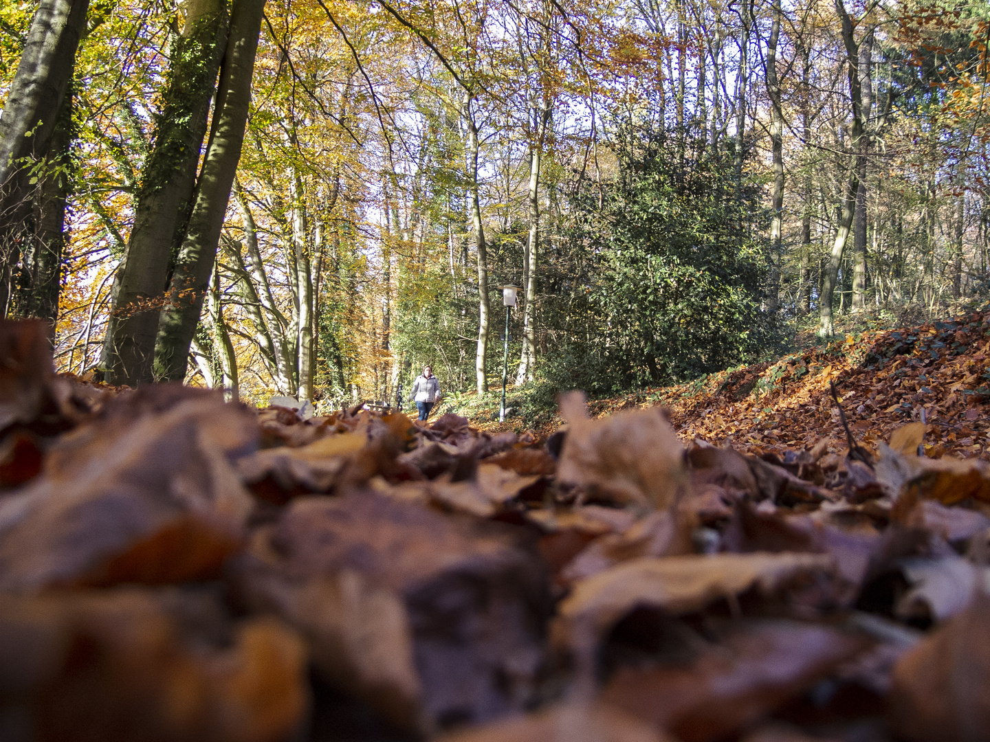 herbst in tecklenburg