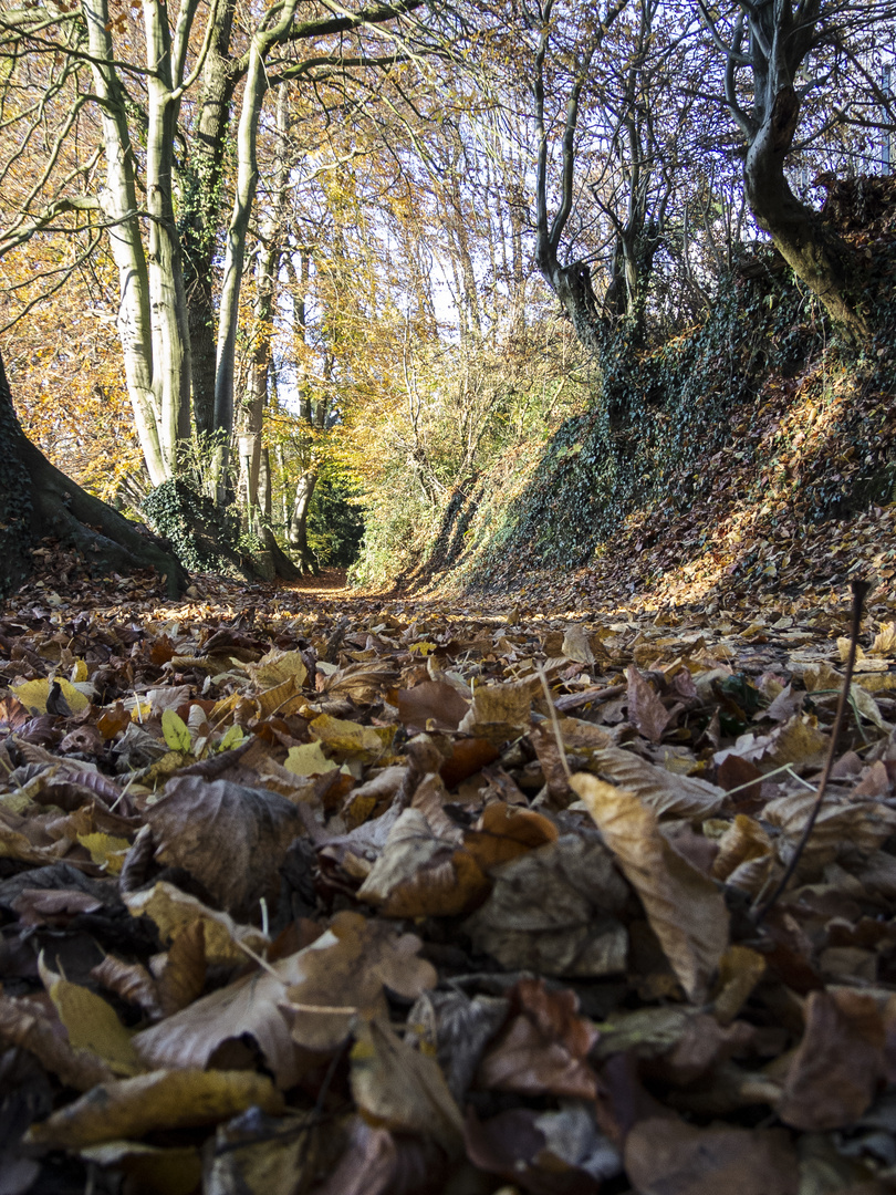 herbst in tecklenburg