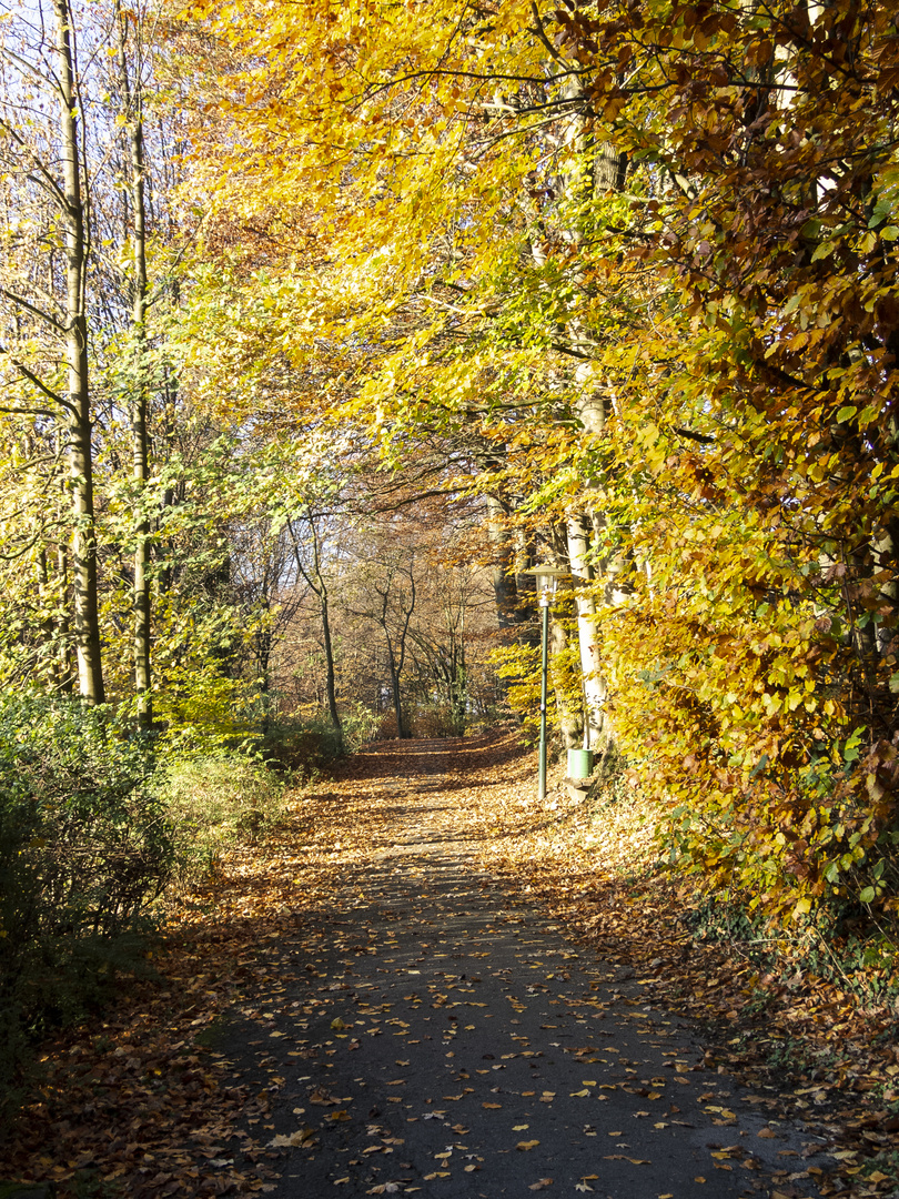 herbst in tecklenburg