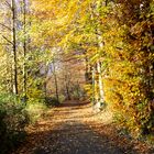 herbst in tecklenburg