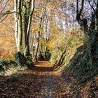 herbst in tecklenburg