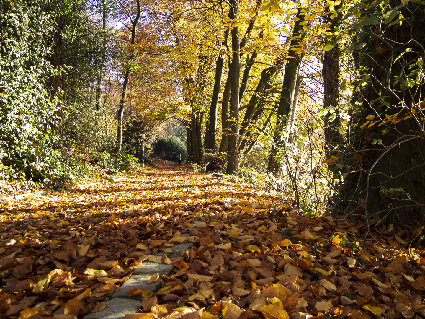 herbst in tecklenburg