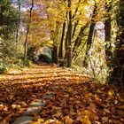 herbst in tecklenburg