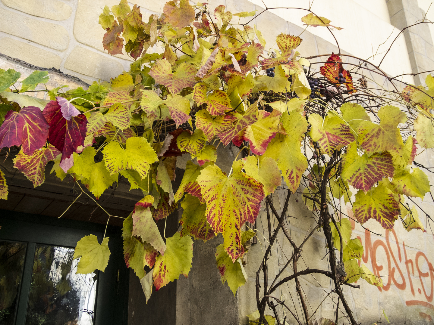 herbst in tecklenburg