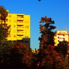 Herbst in Tegel-Süd