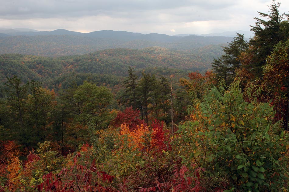 Herbst in Tennessee 1