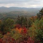 Herbst in Tennessee 1