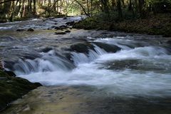 Herbst in Tennessee 6