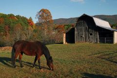 Herbst in Tennessee