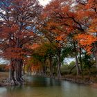 Herbst in Texas ...