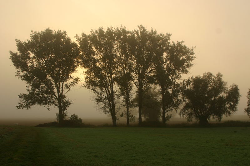 Herbst in Threna / Leipzig