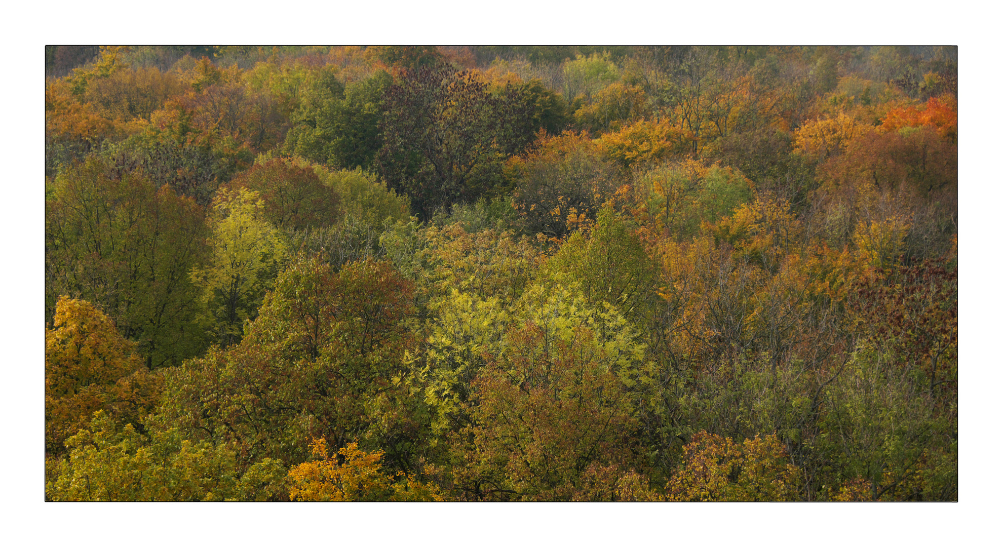 Herbst in Thüringen 1