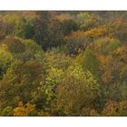 Herbst in Thüringen 1