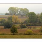 Herbst in Thüringen 12