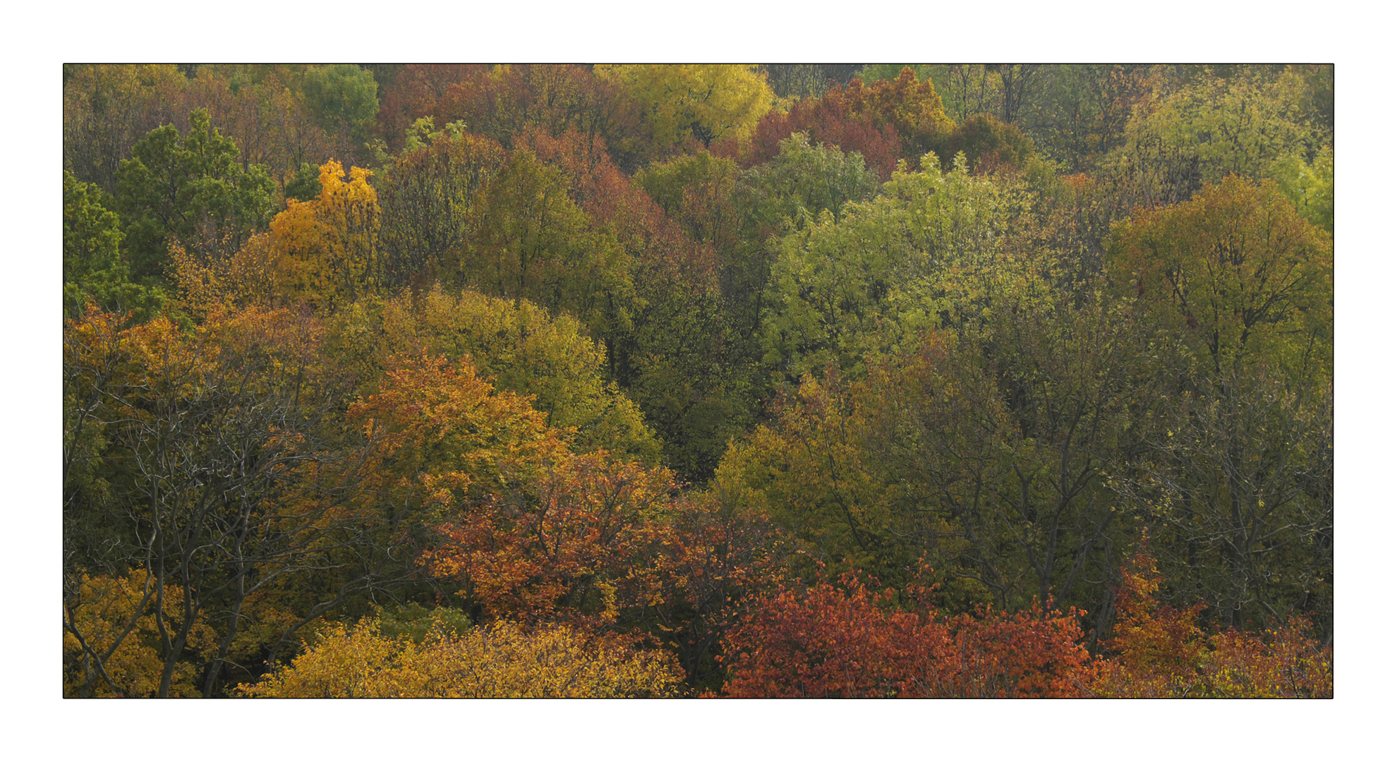 Herbst in Thüringen 13