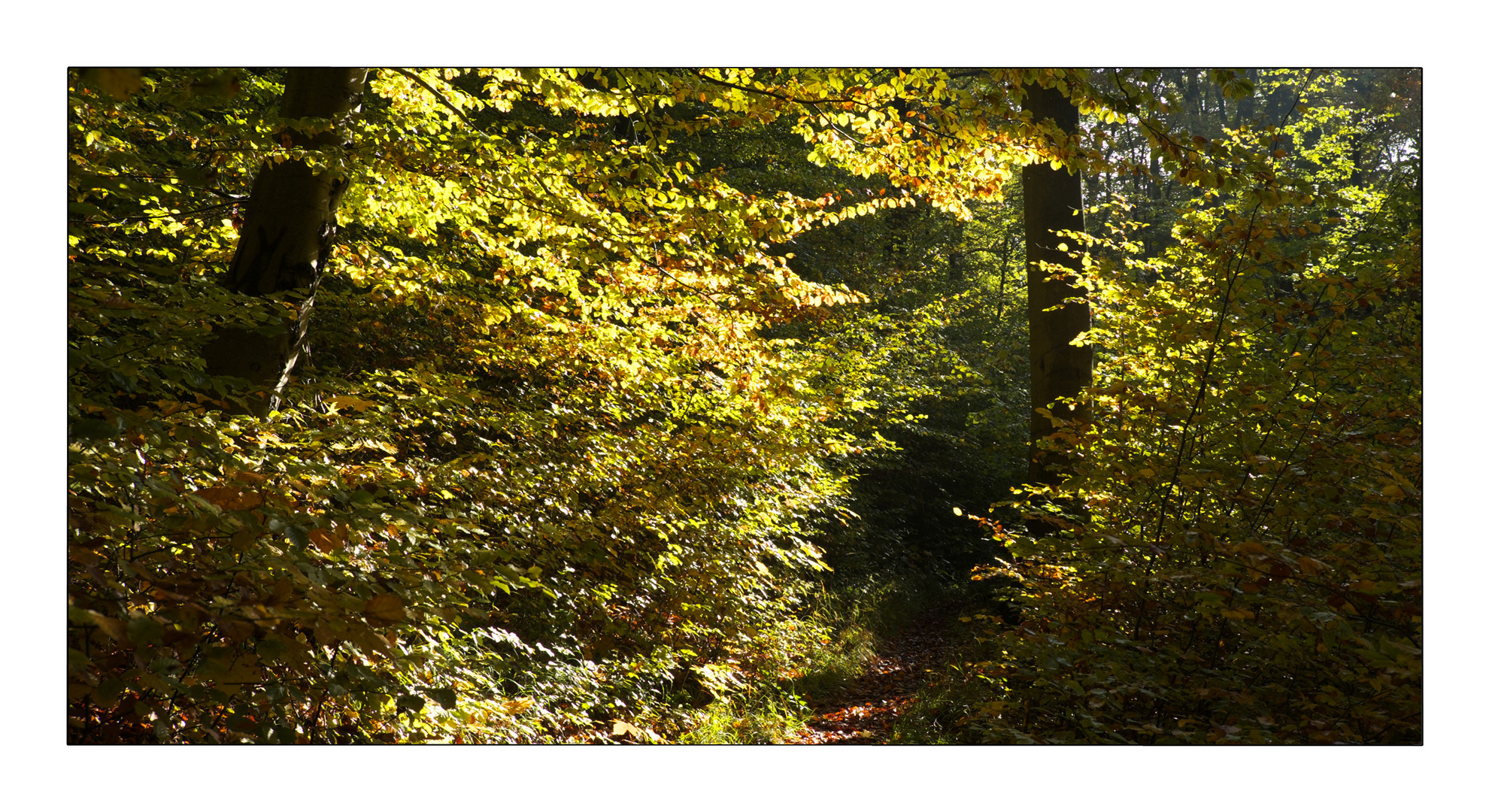 Herbst in Thüringen 15