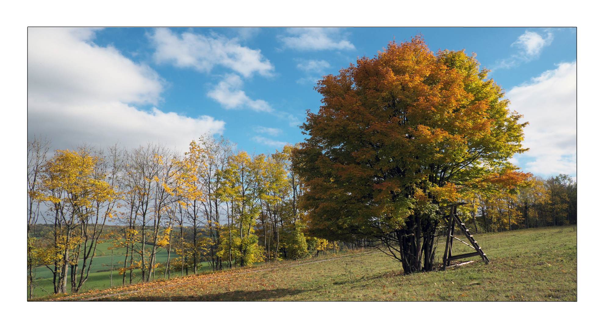 Herbst in Thüringen 16