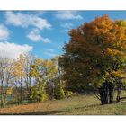 Herbst in Thüringen 16