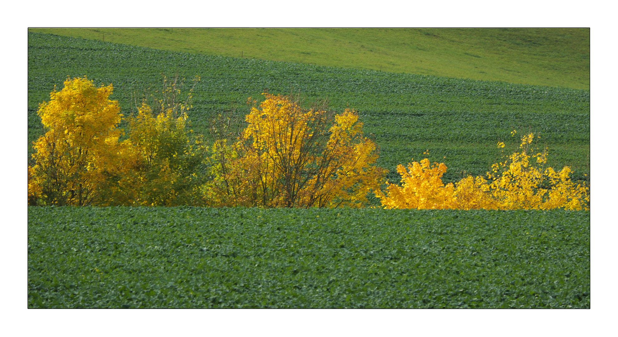 Herbst in Thüringen 17