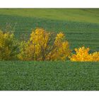 Herbst in Thüringen 17