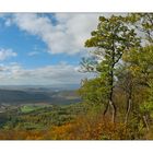 Herbst in Thüringen 18