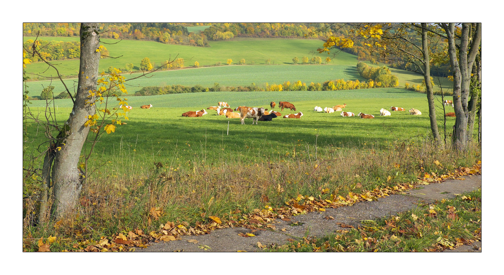 Herbst in Thüringen 19