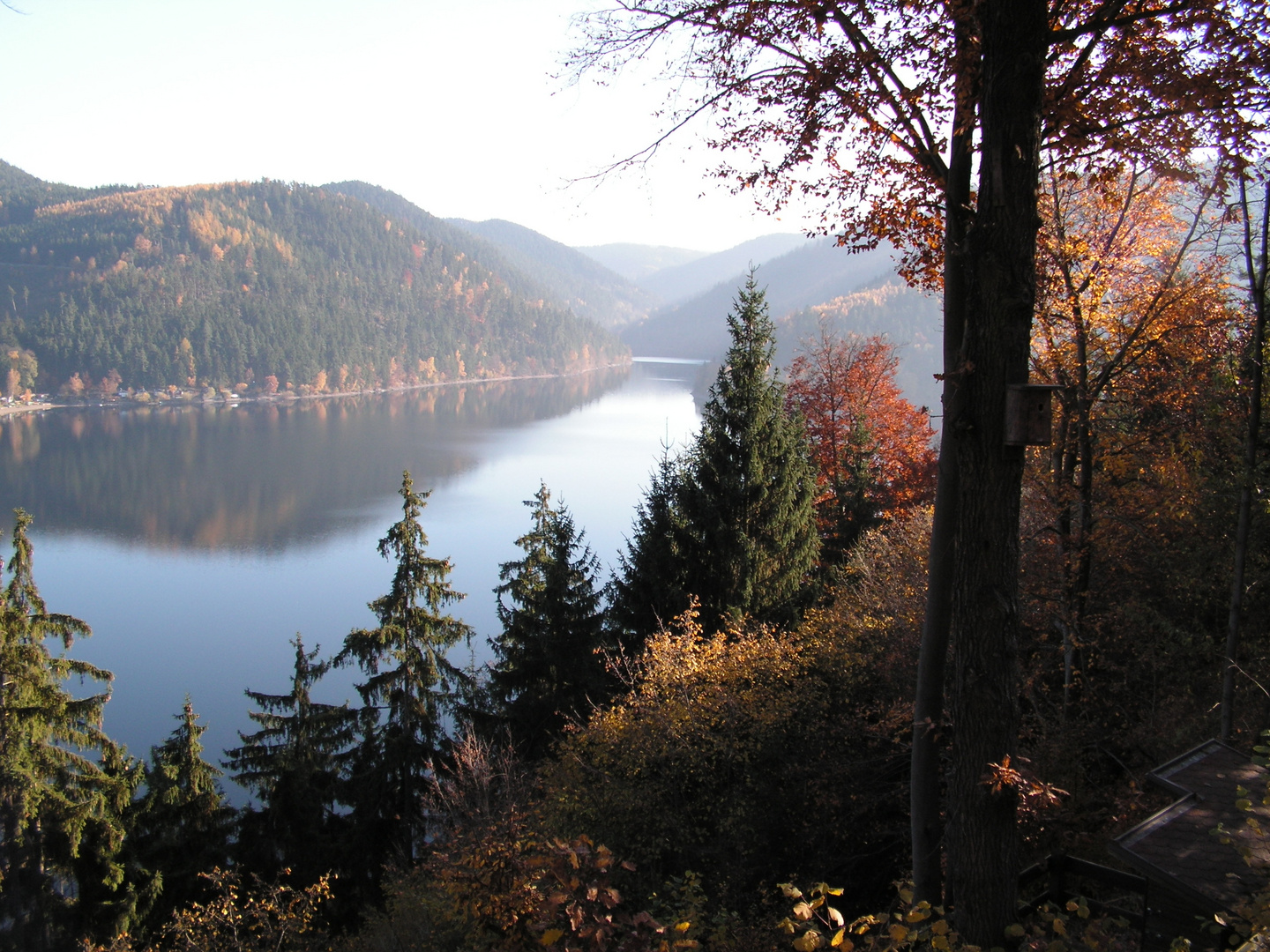 Herbst in Thüringen