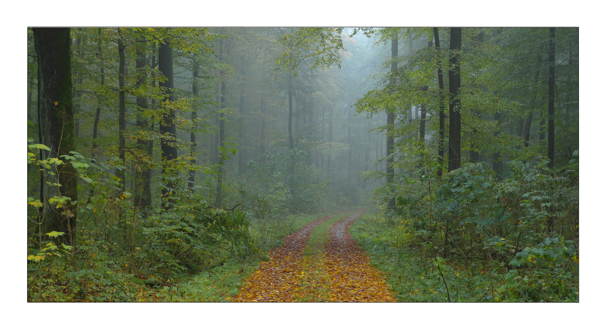 Herbst in Thüringen 3