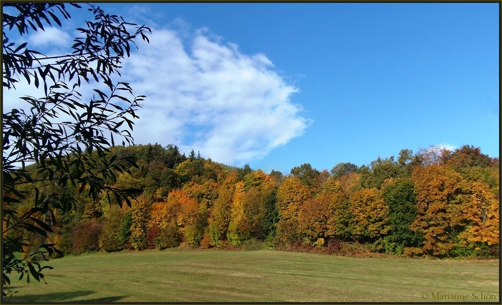 Herbst in Thüringen...