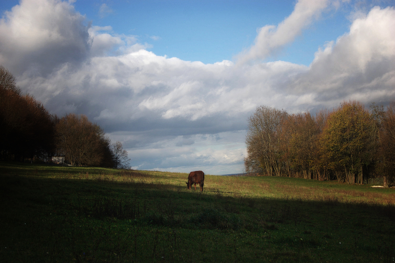 Herbst in Thüringen