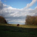 Herbst in Thüringen