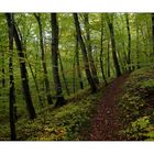 Herbst in Thüringen 5