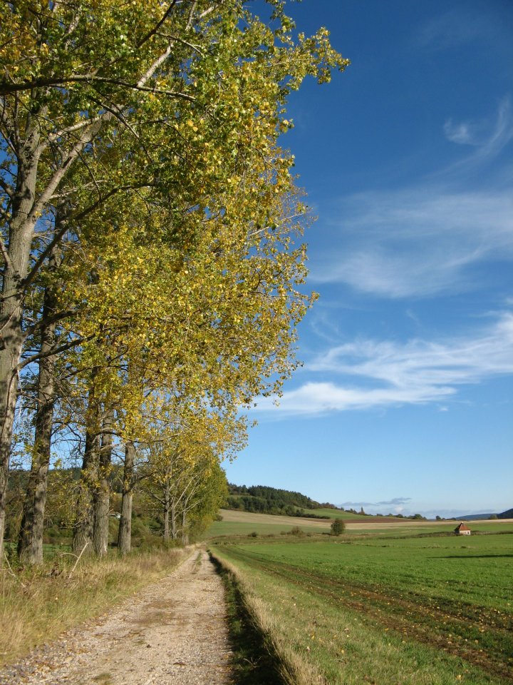 Herbst in Thüringen