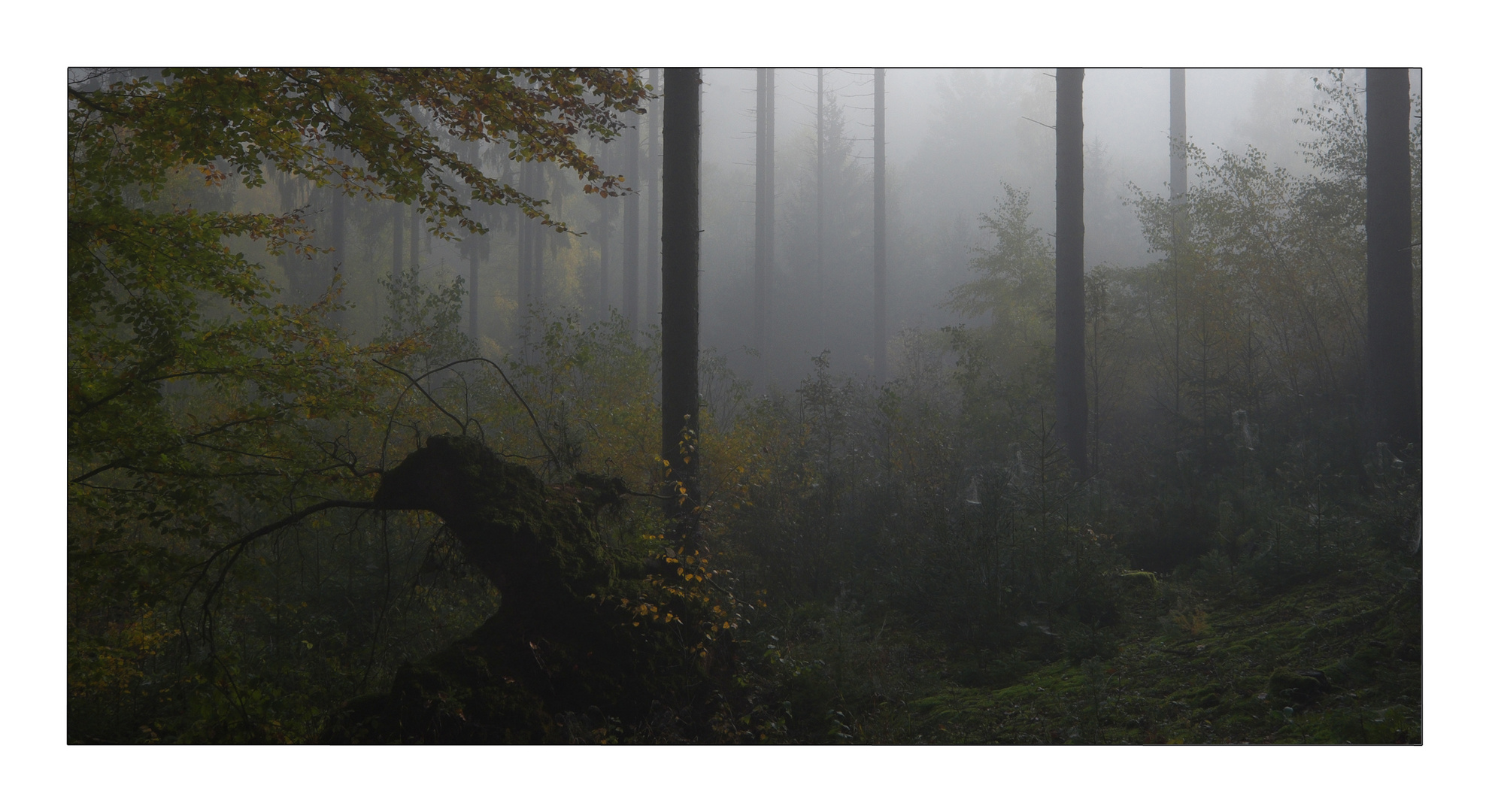 Herbst in Thüringen 7