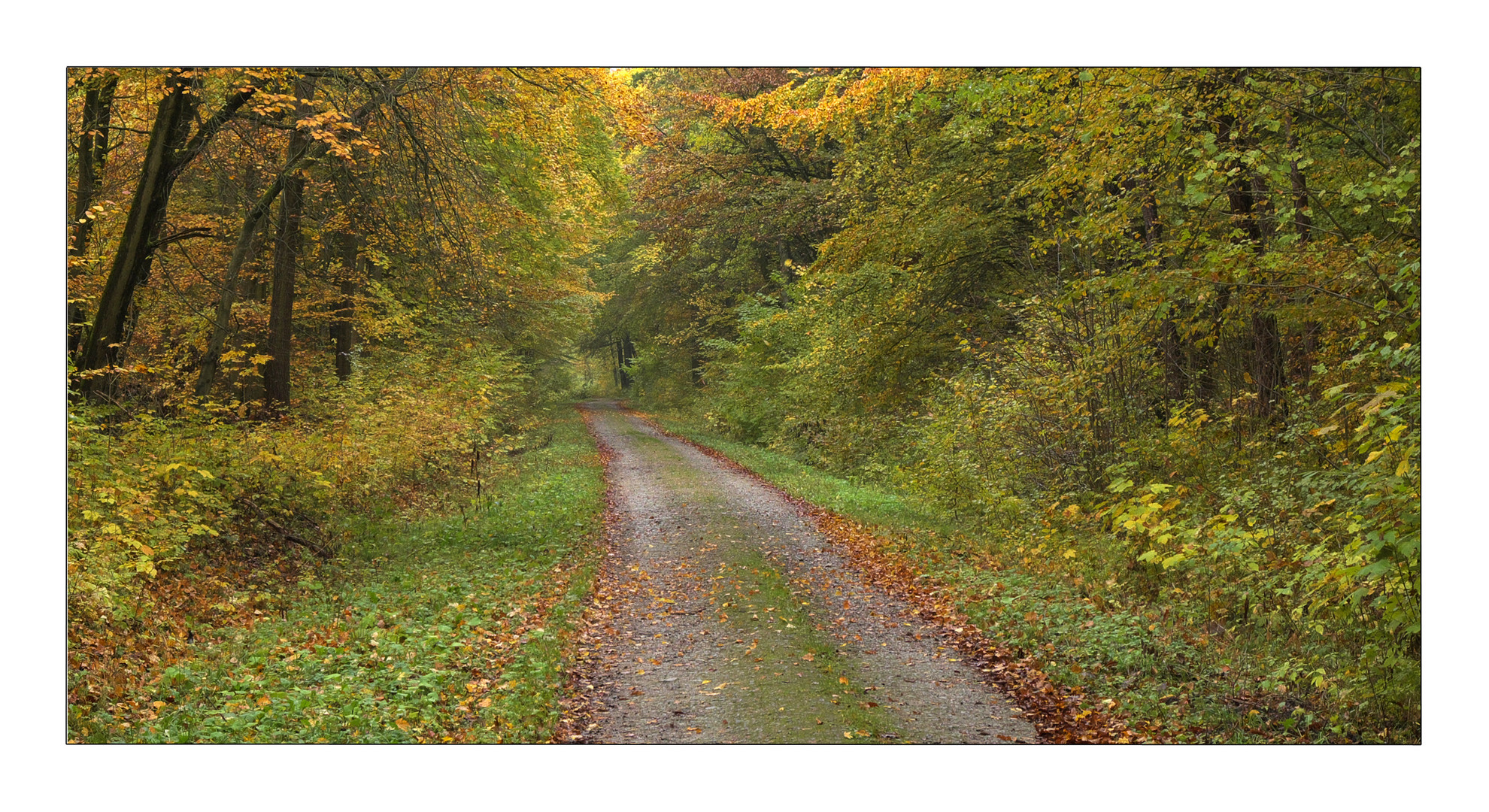 Herbst in Thüringen 9