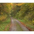 Herbst in Thüringen 9