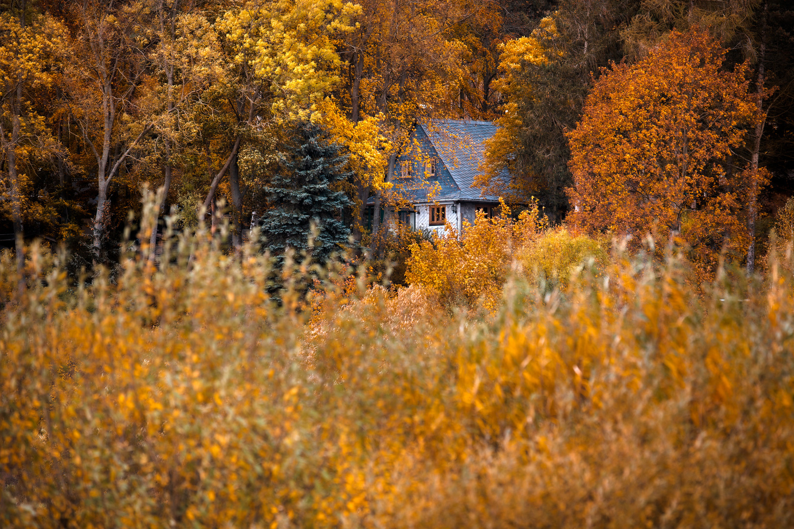 Herbst in Thüringen