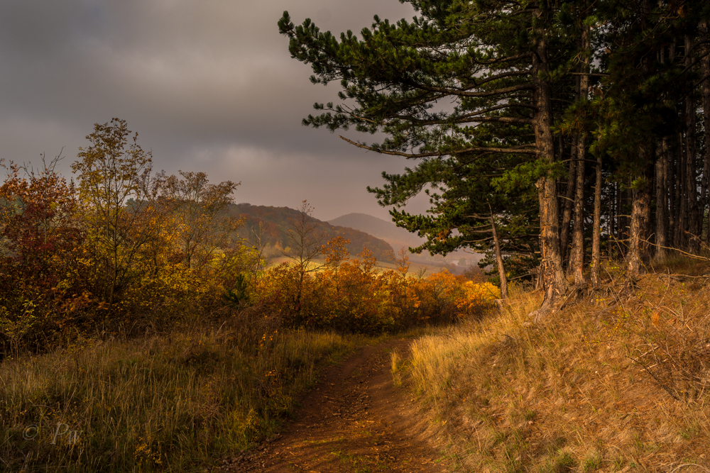 Herbst in Thüringen