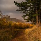 Herbst in Thüringen