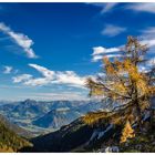 Herbst in Tirol