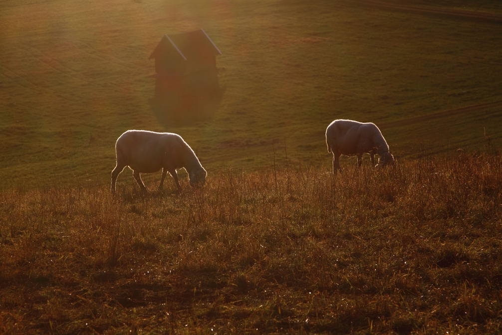 Herbst in Tirol 6