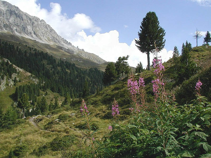 Herbst in Tirol